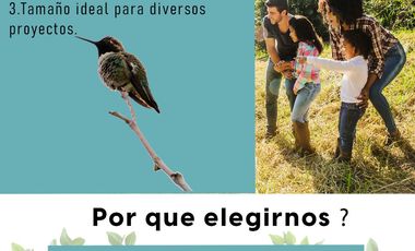 90 Lotes en Venta
