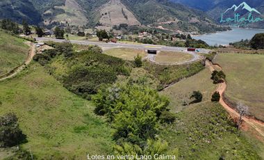 90 Lotes en Venta
