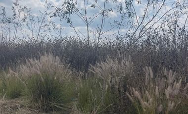 VENTA DE 3 LOTES HABITACIONALES EN CIUDAD MADERAS CORREGIDORA