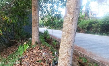 Dijual Tanah Kavling Komplek PPR ITB Pinggir jalan Raya Dago Lembang Bandung Bentuk KOTAK [PK005]