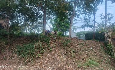 Dijual Tanah Kavling Komplek PPR ITB Pinggir jalan Raya Dago Lembang Bandung Bentuk KOTAK [PK005]