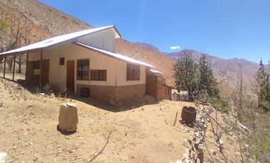10.000 m2 en sector El Ciruelo, entre Pisco Elqui y Pueblo de Horcón