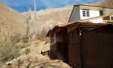 10.000 m2 en sector El Ciruelo, entre Pisco Elqui y Pueblo de Horcón