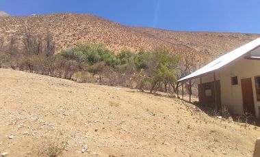 10.000 m2 en sector El Ciruelo, entre Pisco Elqui y Pueblo de Horcón