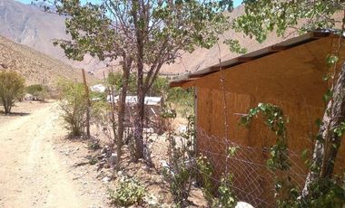 10.000 m2 en sector El Ciruelo, entre Pisco Elqui y Pueblo de Horcón