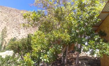 10.000 m2 en sector El Ciruelo, entre Pisco Elqui y Pueblo de Horcón