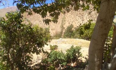 10.000 m2 en sector El Ciruelo, entre Pisco Elqui y Pueblo de Horcón