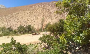 10.000 m2 en sector El Ciruelo, entre Pisco Elqui y Pueblo de Horcón