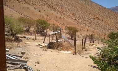 10.000 m2 en sector El Ciruelo, entre Pisco Elqui y Pueblo de Horcón