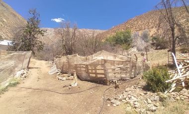 10.000 m2 en sector El Ciruelo, entre Pisco Elqui y Pueblo de Horcón