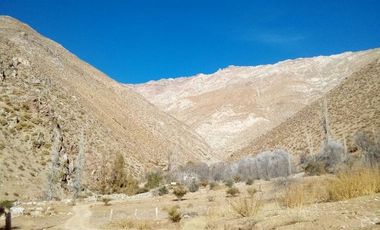 10.000 m2 en sector El Ciruelo, entre Pisco Elqui y Pueblo de Horcón
