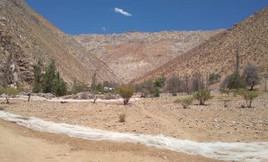 10.000 m2 en sector El Ciruelo, entre Pisco Elqui y Pueblo de Horcón