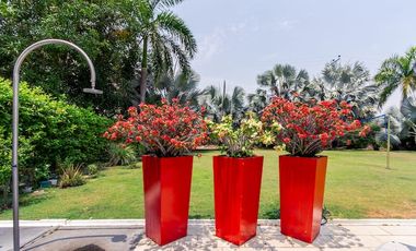 TE ALQUILO FINCA SAN SEBASTIAN EN YOPAL LLAMANOS AL3004140036 DISPONIBLE PARA TEMPORADA TE ESPERAMOS