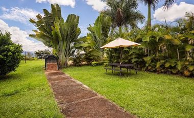 ALQUILO FINCA EL CLAVEL EN POPAYAN LLAMANOS AL3246418250 BIENVENIDOS VEN A COMPARTIR .