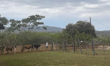 vendo hacienda con mina