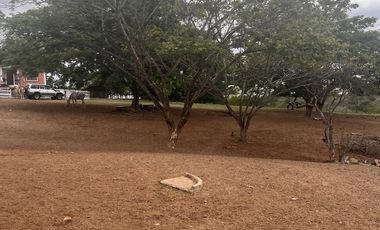 vendo hacienda con mina