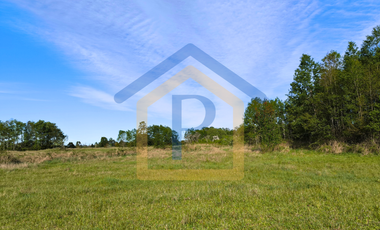 ¡Ideal para vivir o invertir! Parcelas de 5.000 m2 en Casma, Frutillar.