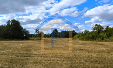 ¡Ideal para vivir o invertir! Parcelas de 5.000 m2 en Casma, Frutillar.