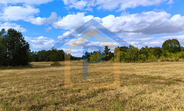 ¡Ideal para vivir o invertir! Parcelas de 5.000 m2 en Casma, Frutillar.