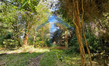 ¡Ideal para vivir o invertir! Parcelas de 5.000 m2 en Casma, Frutillar.