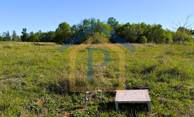 ¡Ideal para vivir o invertir! Parcelas de 5.000 m2 en Casma, Frutillar.