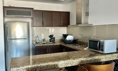 RENTA CONDOMINIO MARINA PLATINO