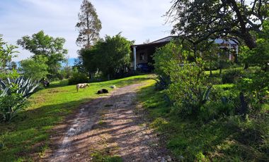 Rancho en venta, entre Guanajuato Capital y Dolores Hidalgo, Gto.