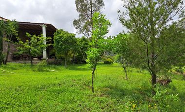 Rancho en venta, entre Guanajuato Capital y Dolores Hidalgo, Gto.