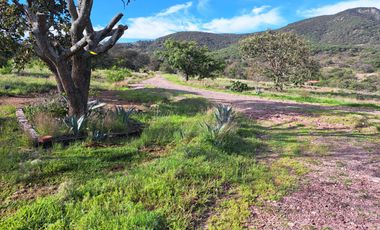 Rancho en venta, entre Guanajuato Capital y Dolores Hidalgo, Gto.