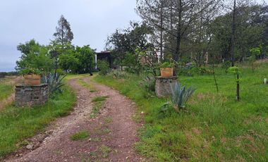 Rancho en venta, entre Guanajuato Capital y Dolores Hidalgo, Gto.
