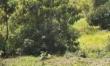 20 Ha Tanah Potensi Wisata View Kota Bandung, Arjasari, Kabupaten Bandung