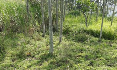 20 Ha Tanah Potensi Wisata View Kota Bandung, Arjasari, Kabupaten Bandung