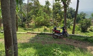 56,68 Ha Tanah Kebun Pinggir Jalan Desa Malasari, Cimaung, Kabupaten Bandung