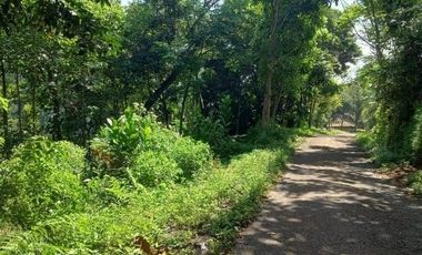56,68 Ha Tanah Kebun Pinggir Jalan Desa Malasari, Cimaung, Kabupaten Bandung