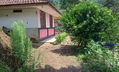 56,68 Ha Tanah Kebun Pinggir Jalan Desa Malasari, Cimaung, Kabupaten Bandung