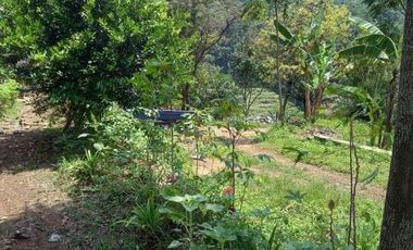 56,68 Ha Tanah Kebun Pinggir Jalan Desa Malasari, Cimaung, Kabupaten Bandung