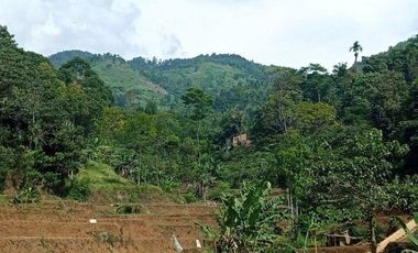 56,68 Ha Tanah Kebun Pinggir Jalan Desa Malasari, Cimaung, Kabupaten Bandung