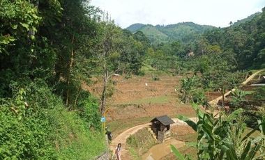 56,68 Ha Tanah Kebun Pinggir Jalan Desa Malasari, Cimaung, Kabupaten Bandung