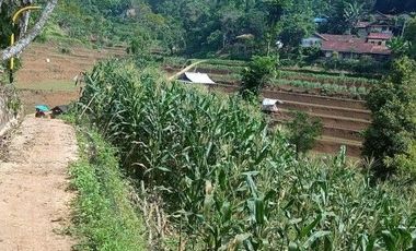 56,68 Ha Tanah Kebun Pinggir Jalan Desa Malasari, Cimaung, Kabupaten Bandung