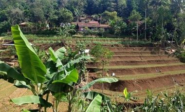 56,68 Ha Tanah Kebun Pinggir Jalan Desa Malasari, Cimaung, Kabupaten Bandung