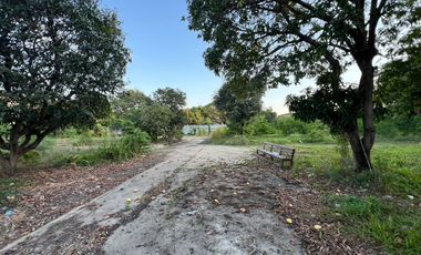 From this land to Seacon Srinakarin in just 5 minutes! Only 1.5 km from MRT. Selling land on On Nut 46, size 3-3-13 rai,