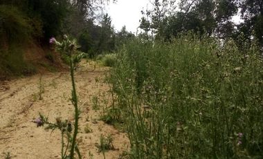 Oportunidad Única!  parcelas con Vista Panorámica en Loma, Quilpué