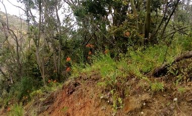 Oportunidad Única!  parcelas con Vista Panorámica en Loma, Quilpué