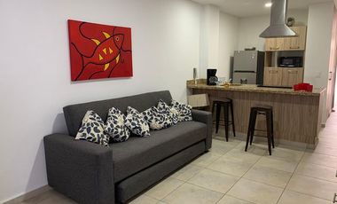 DEPARTAMENTO AMUEBLADO FRENTE A PLAZA PENINSULA