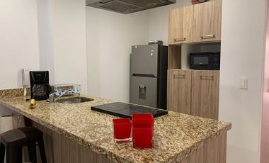 DEPARTAMENTO AMUEBLADO FRENTE A PLAZA PENINSULA