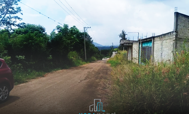 Terreno en Venta - Carretera Las Trancas, Coatepec - 150 m²