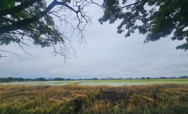 Terreno Residencial en venta en Samborondon, Urb. El Cortijo