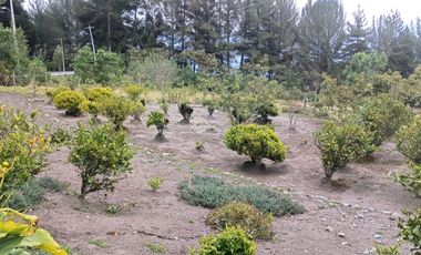 EL LUGAR TRANQUILO - Se Vende Hermoso lugar con DOS casas, situado en Cuicocha/ Ugshapungo