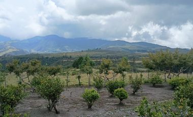 EL LUGAR TRANQUILO - Se Vende Hermoso lugar con DOS casas, situado en Cuicocha/ Ugshapungo