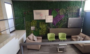 Se vende y renta edificio en la pradera
